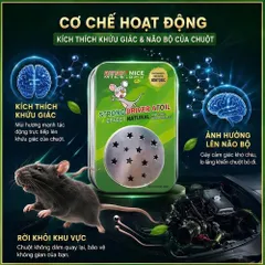 Sáp Đuổi Chuột Cao Cấp Cho Xe Điện 🐭  - Chiết Xuất Hoàn Toàn Từ Thiên Nhiên, Ngăn Chuột Hiệu Quả (P135222)