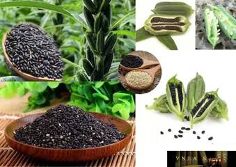 Vừng đen điện biên 1kg (P134457)