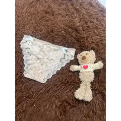 RN01 Set 20 Quần Lót Nữ Ren Lưới Đính Nơ Hai Bên Công Chúa Siêu Mềm Cao Cấp, Nhiều Màu (38-58kg)