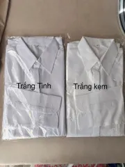 Áo Sơ Mi Nữ Công Sở Vải Lụa Nhung Form Ôm Tôn Dáng Tay Dài,Lỡ,Ngắn S-6XL