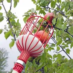Giỏ hái trái cây dụng cụ giật hái trái cây lồng vặt hoa quả Đầu vợt hái quả, Giỏ hái quả Trên Cao Dễ Sử Dụng