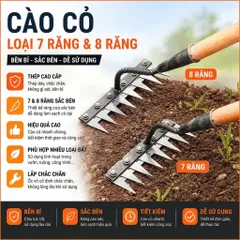 Cào cỏ làm vườn 7 Răng và 8 Răng, Dụng cụ cào cỏ, Làm tơi xốp đất, cào rác bằng thép không rỉ