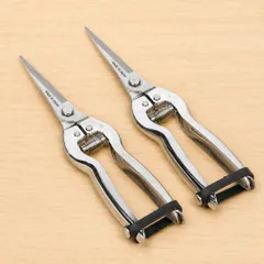 Kéo tỉa dăm, cành, lá cây cảnh - 19cm, Silver Kéo Nhỏ Tỉa Cây Cảnh Làm Vườn