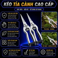 Kéo tỉa dăm, cành, lá cây cảnh - 19cm, Silver Kéo Nhỏ Tỉa Cây Cảnh Làm Vườn