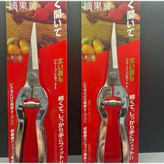 Kéo tỉa dăm, cành, lá cây cảnh - 19cm, Silver Kéo Nhỏ Tỉa Cây Cảnh Làm Vườn