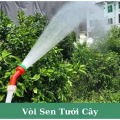 Đầu phun tưới cây 1000 lỗ phân tán nước đều, tưới nhẹ nhàng cho rau hoa chuyên dùng tưới cây