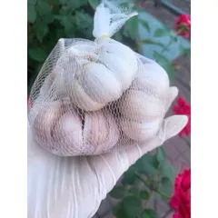 Củ Tỏi To Chắc Loại 1 - Tỏi Thơm Ngon Túi 1 Kg