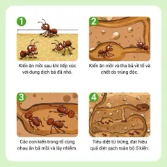 Combo 10 Lọ diệt kiến sinh học tận gốc