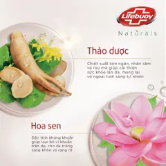 Sữa tắm Lifebuoy Thiên nhiên Detox Và Chăm Sóc Chuyên Sâu 800g