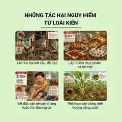 Combo 10 Lọ diệt kiến sinh học tận gốc
