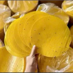 Vỏ Bánh Tráng Nướng