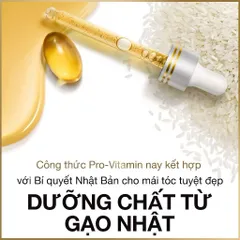 Dầu Gội PANTENE Ngăn Rụng Tóc Chai 700ml
