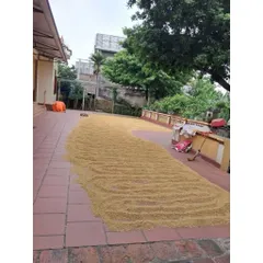 5Kg Gạo Quê Nhà Tự Trồng(Gạo BC Thái Bình) Không Chất Bảo Quản,Gạo Tự Nhiên Thơm Nhẹ Đậm Gạo