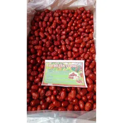 Táo đỏ Tân Cương - Vùng đất khởi nguồn của TÁO ĐỎ