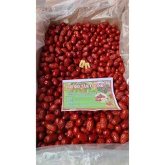 Táo đỏ Tân Cương - Vùng đất khởi nguồn của TÁO ĐỎ