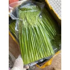 1kg Đòng Đòng Lúa Nếp Cái Hoa Vàng Ngâm Tửu