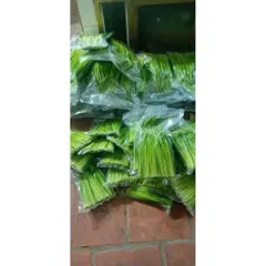 1kg Đòng Đòng Lúa Nếp Cái Hoa Vàng Ngâm Tửu