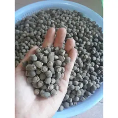 Sim Rừng Khô 1kg, Quả Sim Tự Nhiên, Đóng Túi Tiện Lợi, Ngâm Tửu Bổ Sức Khỏe