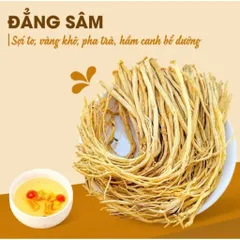 Đẳng Sâm Khô