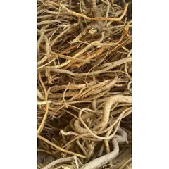 Rễ Hoàng Kỳ Nam, Thảo Dược Quý, Bồi Bổ Sức Khỏe, Nguyên Chất 100%