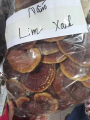 Nấm Lim Xanh, Thảo Dược Tự Nhiên, Hỗ Trợ Bồi Bổ Sức Khỏe, Nguyên Chất 100%