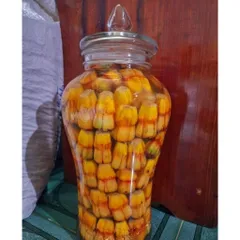 Dứa Dại Biển Chín (tươi) 5kg,10kg