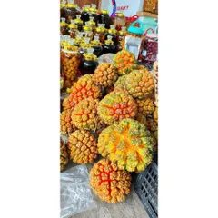 Dứa Dại Biển Chín (tươi) 5kg,10kg