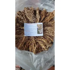 SÂM ĐƯƠNG QUY khô -🌿 SÂM VÀNG CỦA NGƯỜI VIỆT !!!