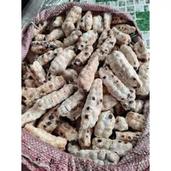 Quả Chuối Cô Đơn Khô Dùng Ngâm Tửu