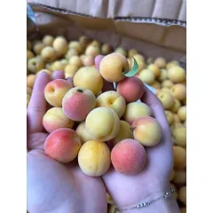 (10kg)Mơ Má Đào Mộc Châu