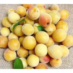 (10kg)Mơ Má Đào Mộc Châu