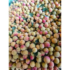 (10kg)Mơ Má Đào Mộc Châu