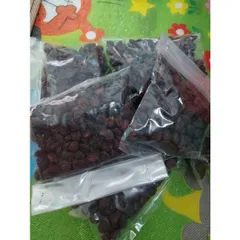 Hạt dổi nếp rừng, Hạt dổi nguyên liệu tây bắc phơi nắng tự nhiên, sạch, thơm, gia vị ướp thịt nướng thơm ngon