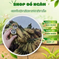 Combo 5kg Chuối Hột Rừng Tươi Tây Bắc Loại 1, Chuối Tươi Dùng Ngâm Tửu Bổ Sức Khỏe, Hỗ Trợ Tiêu Hóa
