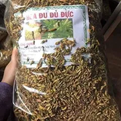 Hoa Đu Đủ Đực Khô 500g, Thảo Dược Tự Nhiên Thanh Lọc Cơ Thể, Giúp Ngủ Ngon, Tăng Cường Sức Khỏe