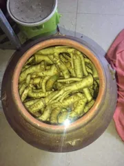 Rễ Đinh Lăng Già Nguyên Chất, Thảo Dược Bồi Bổ Sức Khỏe, Lưu Thông Khí Huyết, Đặc Sản Dân Gian