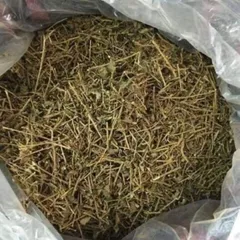 Cà Gai Leo Khô, Thảo Dược Tự Nhiên, Hỗ Trợ Gan, Nguyên Chất 100%