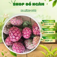 Na Rừng Tươi, Đặc Sản Núi Rừng Tây Bắc, Vị Chua Ngọt Tự Nhiên, Nguyên Liệu Ngâm Tửu