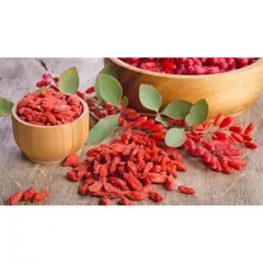Kỷ Tử Đỏ Size Đại, Câu Kỉ Tử Loại 1 Sấy Khô Quả To Đỏ Đều Giúp Đẹp Da, Bổ Máu, Dễ Ngủ, Sáng Mắt