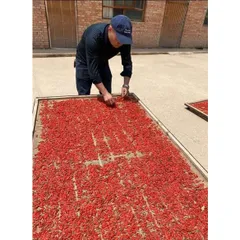 Kỷ Tử Đỏ Size Đại, Câu Kỉ Tử Loại 1 Sấy Khô Quả To Đỏ Đều Giúp Đẹp Da, Bổ Máu, Dễ Ngủ, Sáng Mắt