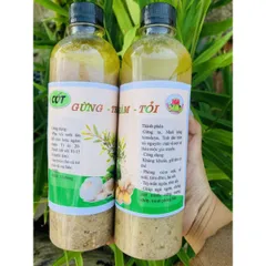 Cốt gừng tươi tràm tỏi