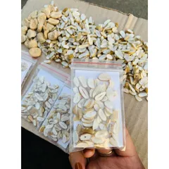 Hạt sang trắng rừng Tây Bắc, Nguyên liệu thảo mộc hạt dạ dày hạt sành già ruột trắng cắt lát sẵn