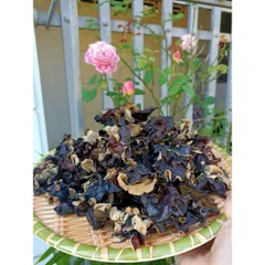 Mộc Nhĩ Rừng Không Chân, Thảo Dược Nguyên Chất, Tươi Ngon, Ngâm Tửu & Chế Biến Món Ăn