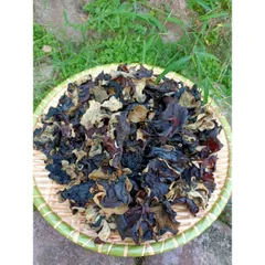 Mộc Nhĩ Rừng Không Chân, Thảo Dược Nguyên Chất, Tươi Ngon, Ngâm Tửu & Chế Biến Món Ăn