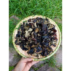 Mộc Nhĩ Rừng Không Chân, Thảo Dược Nguyên Chất, Tươi Ngon, Ngâm Tửu & Chế Biến Món Ăn