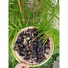 Mộc Nhĩ Rừng Không Chân, Thảo Dược Nguyên Chất, Tươi Ngon, Ngâm Tửu & Chế Biến Món Ăn