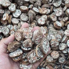 Chuối Hột Rừng Thái Nát, Thảo Dược Rừng Nguyên Chất, Hỗ Trợ Tiêu Hóa, Bổ Thận, Lợi Tiểu, Thanh Nhiệt Cơ Thể