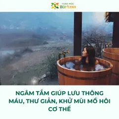 Lá tắm người dao đỏ sau sinh 1kg tốt cho phụ nữ sau sinh, lưu thông khí huyết, ngăn hậu sản Thảo Mộc Búp Xanh