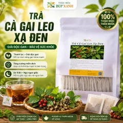 Trà Cà Gai Leo Xạ Đen Giải Độc Gan Túi Lọc Thảo mộc Búp Xanh giúp mát gan thanh nhiệt, giải rượu, hạ men gan