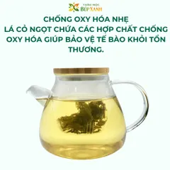Cỏ Ngọt Sấy Khô Thảo Mộc Búp Xanh Túi 500gr giúp thay thế đường, hỗ trợ người tiểu đường